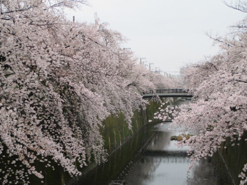 2023年3月28日の様子