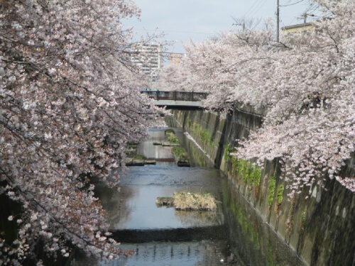 2023年3月30日の様子