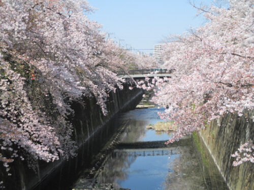 2023年4月1日の様子